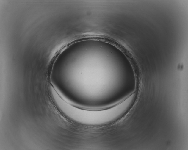 X0000112421357200908281828