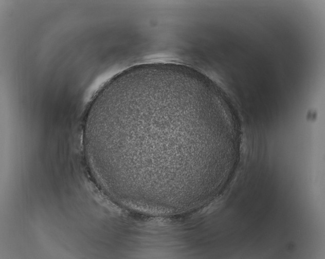 X0000112421358200908281828