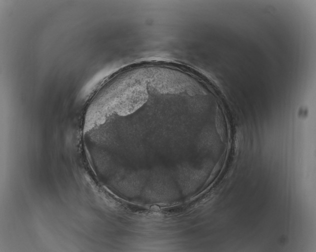 X0000112421359200908281828