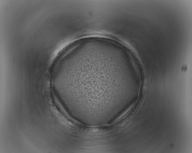 X0000112421360200908281828