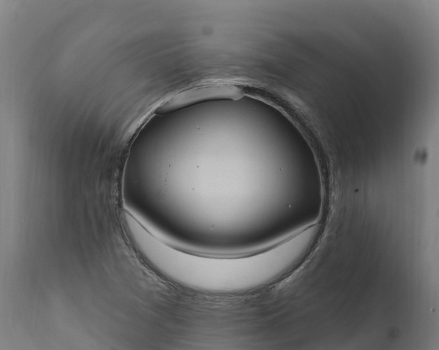 X0000112421361200908281828