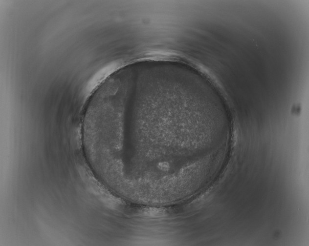 X0000112421362200908281828