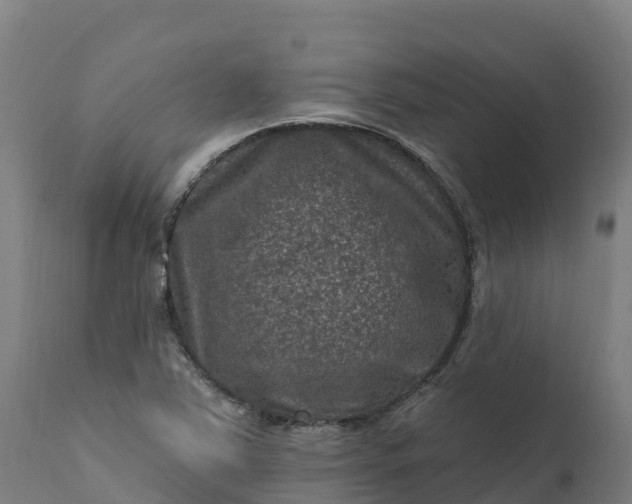 X0000112421363200908281828