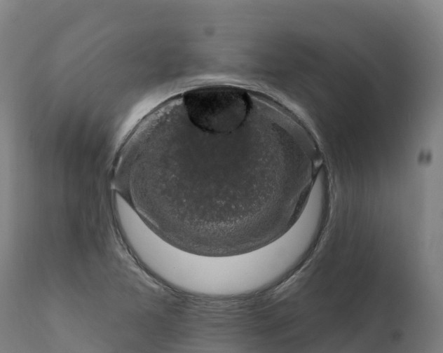 X0000112421365200908281828