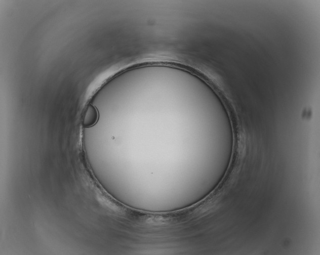 X0000112421366200908281828