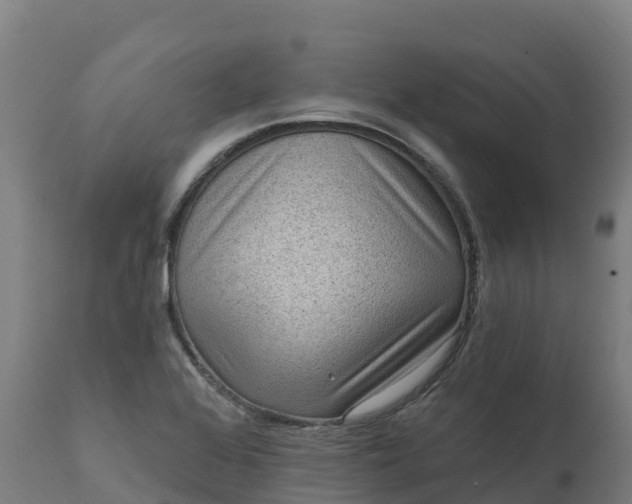 X0000112421368200908281828