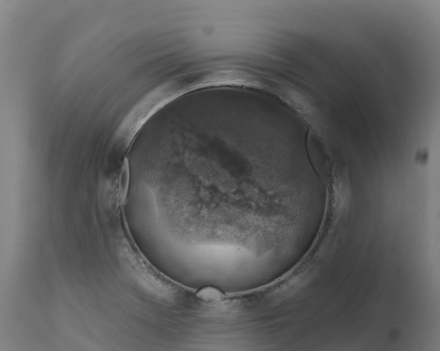 X0000112421369200908281828