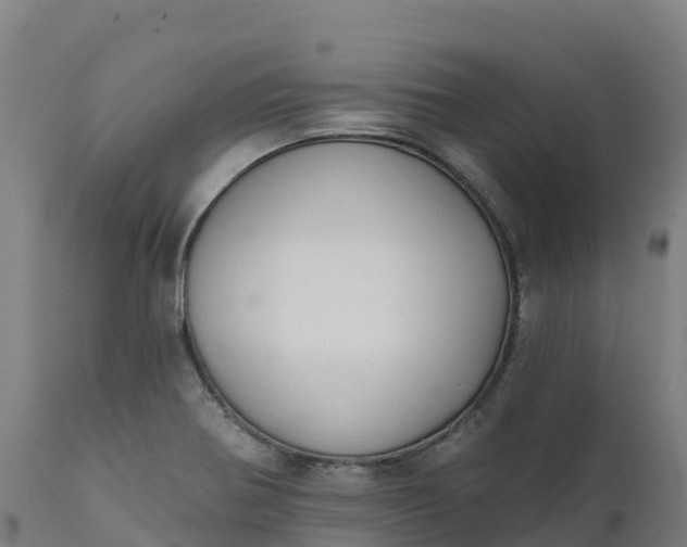 X0000112421370200908281828