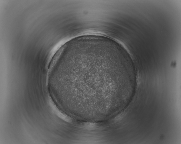 X0000112421371200908281828