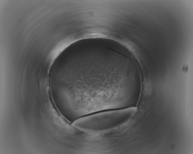 X0000112421373200908281828