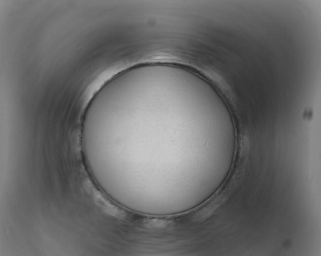 X0000112421374200908281828