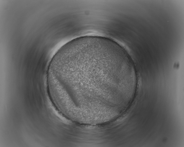 X0000112421375200908281828