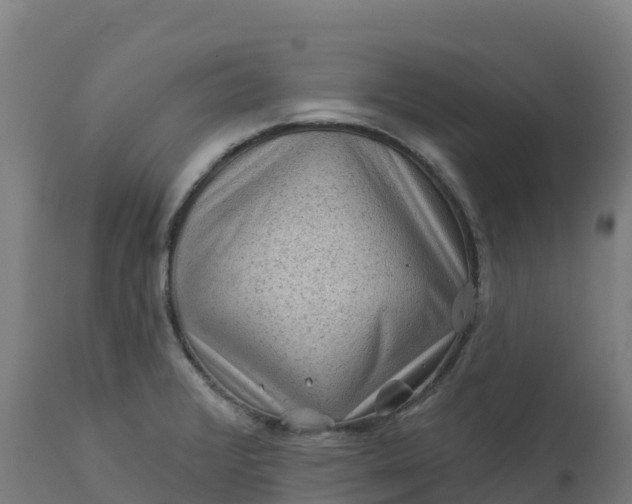 X0000112421376200908281828