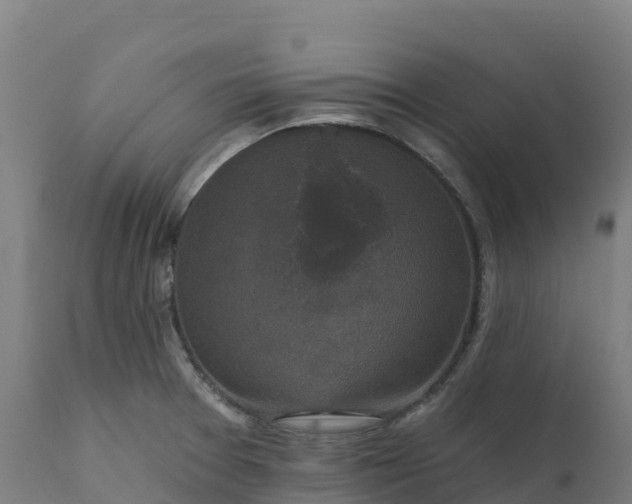 X0000112421377200908281828