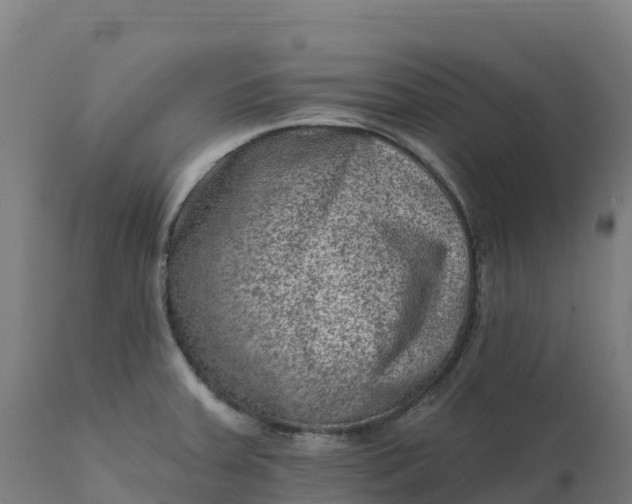 X0000112421379200908281828