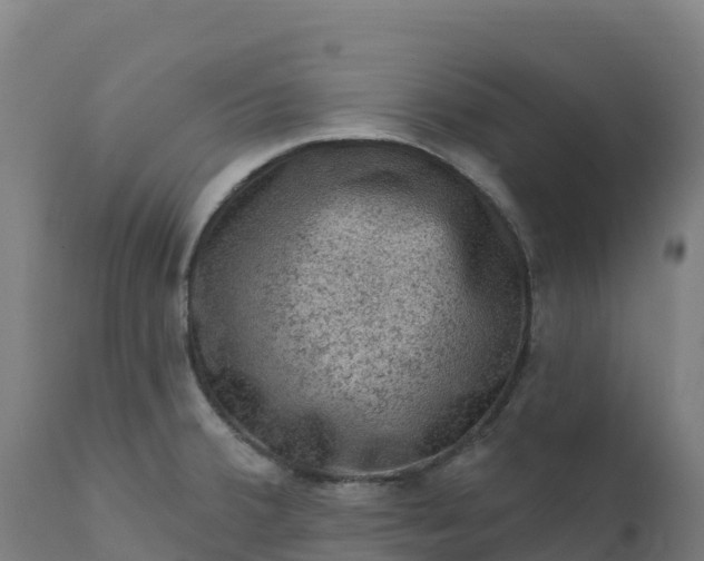 X0000112421380200908281828