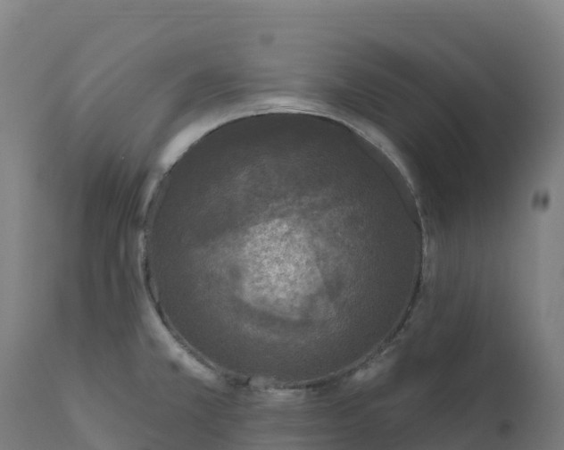 X0000112421381200908281828