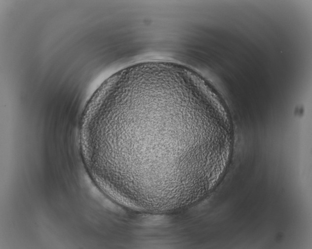 X0000112421382200908281828