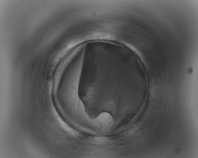 X0000112421383200908281828