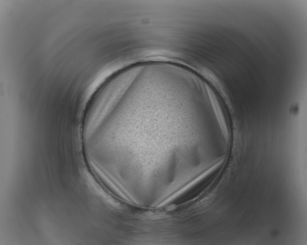 X0000112421384200908281828