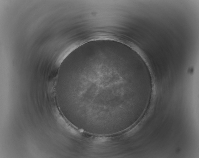 X0000112421385200908281828