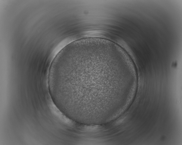 X0000112421386200908281828