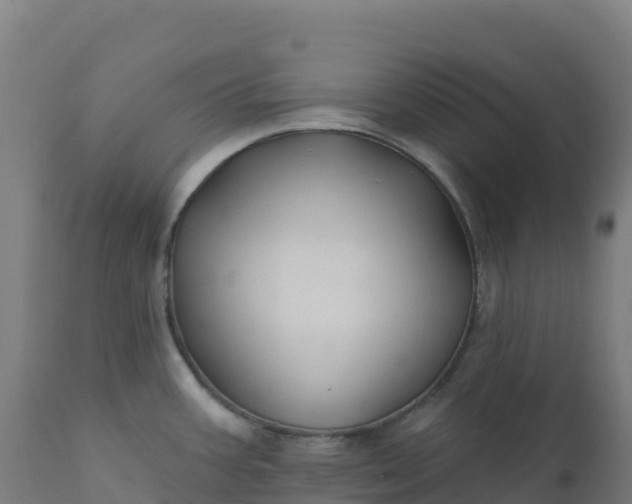 X0000112421387200908281828