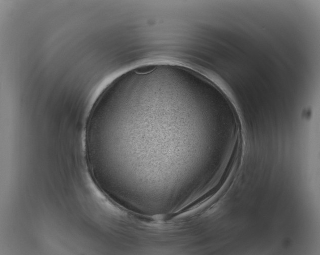 X0000112421388200908281828