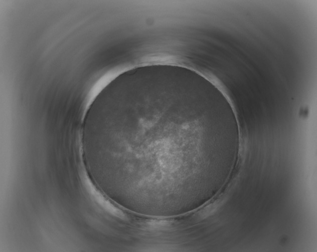 X0000112421389200908281828