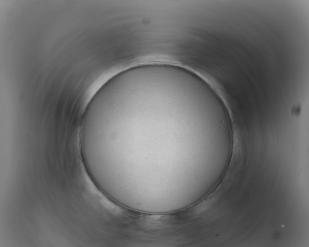 X0000112421390200908281828