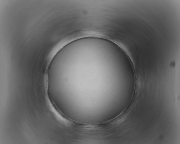 X0000112421391200908281828