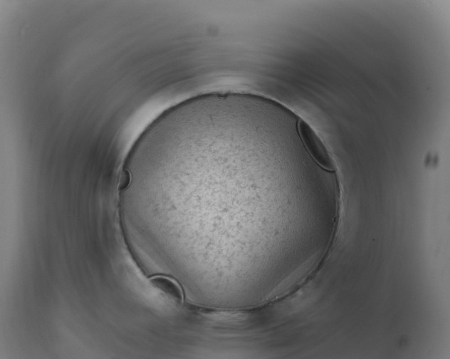 X0000112421392200908281828