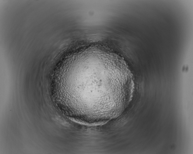 X0000112421393200908281827