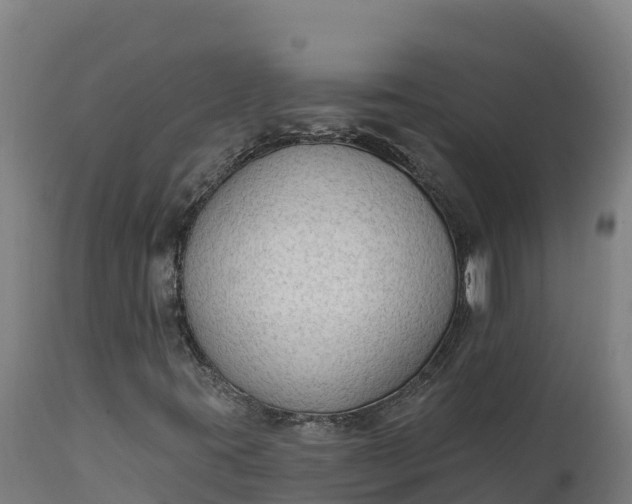 X0000112421395200908281827