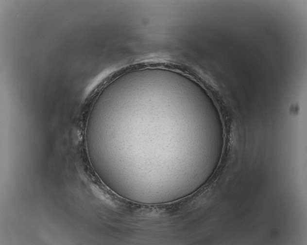 X0000112421400200908281827