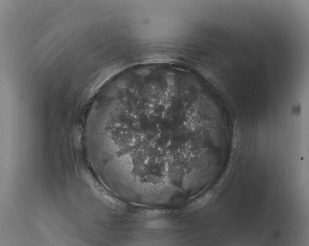 X0000112421401200908281827