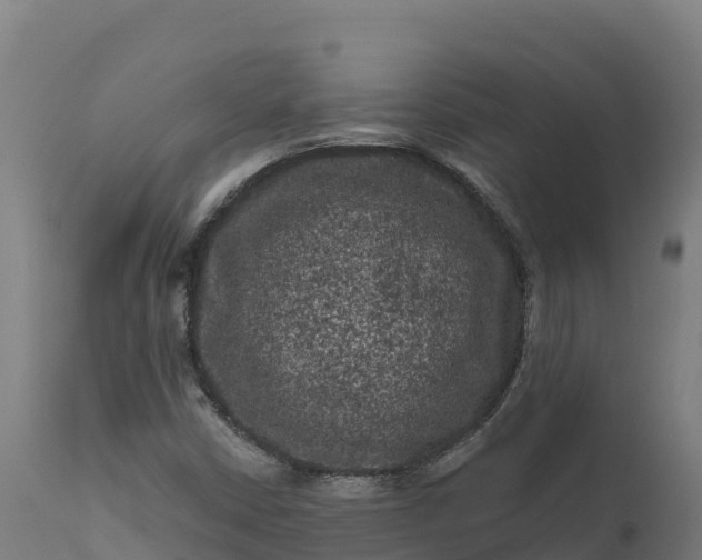 X0000112421402200908281827