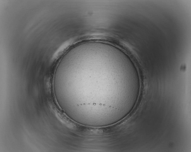 X0000112421403200908281827