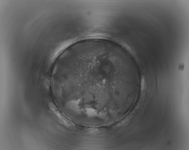 X0000112421405200908281827