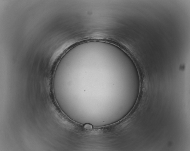 X0000112421410200908281827