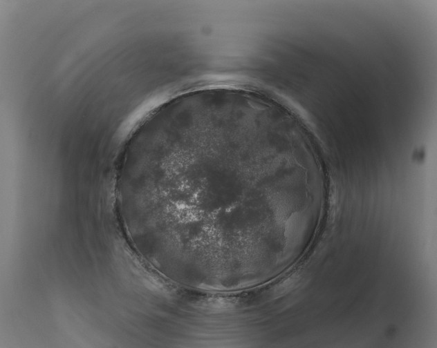 X0000112421411200908281827