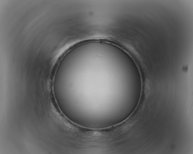 X0000112421412200908281827