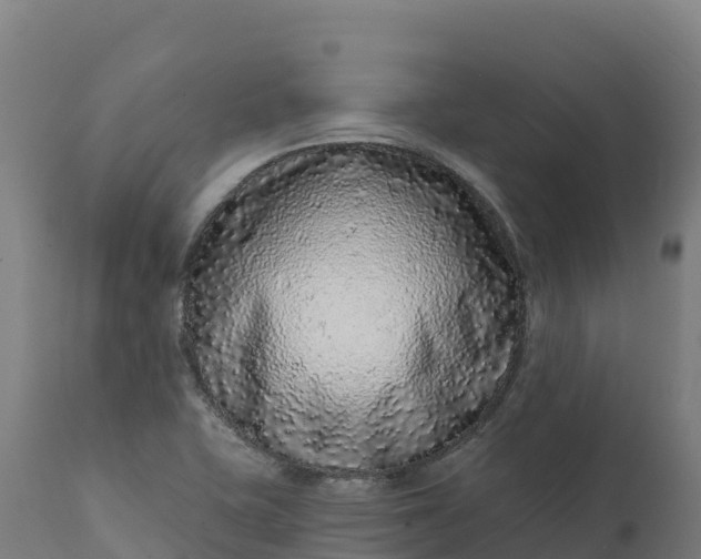 X0000112421415200908281827