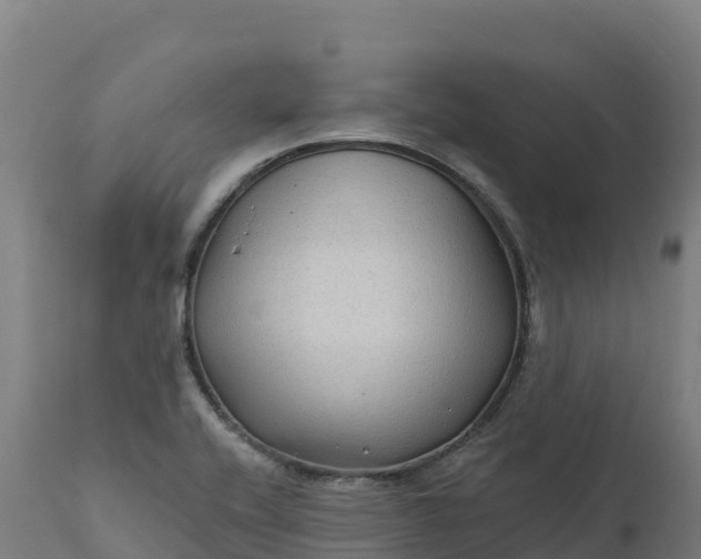 X0000112421416200908281827