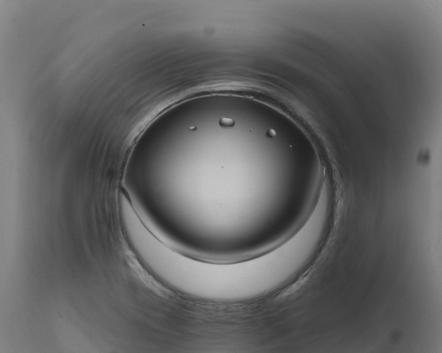 X0000112421417200908281828