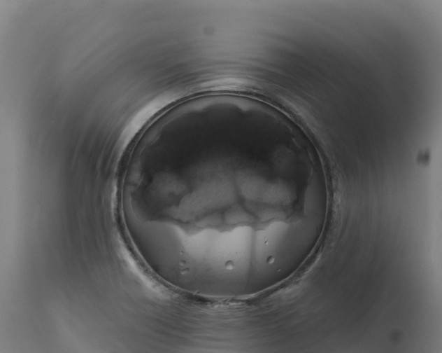 X0000112421418200908281828