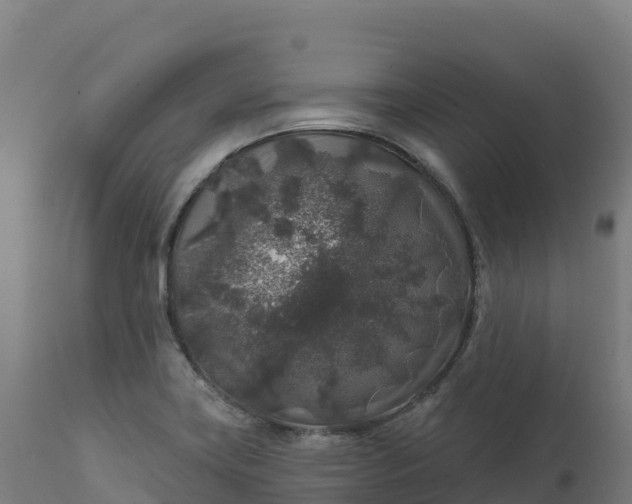 X0000112421419200908281828