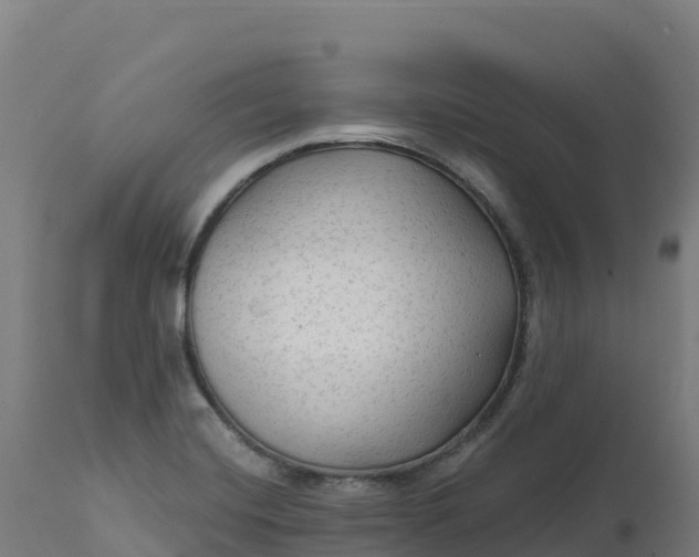 X0000112421420200908281828