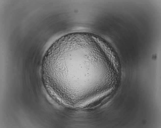 X0000112421421200908281828