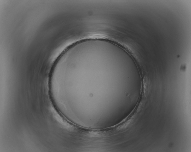 X0000112421422200908281828